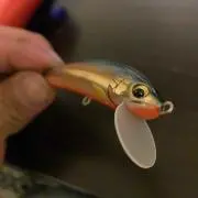 ひろゆきさん