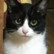 くみっきぃ