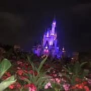 若菜