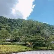 藤咲の画像