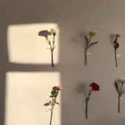 riiの画像