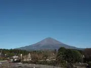 myrの画像