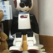 samの画像