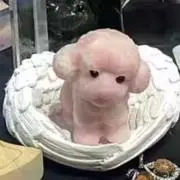 のぶの画像