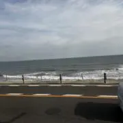 eeeの画像