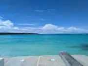 トマト