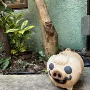 ジーナの画像