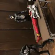 藻