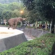 やまさきりく