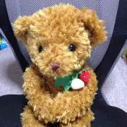 キラキラ