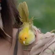 ムラサキの画像