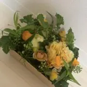 ますみの画像