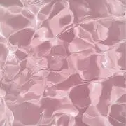 みゃうの画像