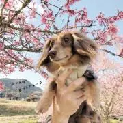 Kanaの画像