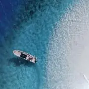 レイの画像