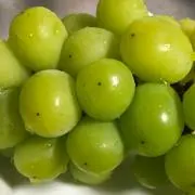 もーたうんの画像