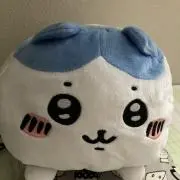 猫を飼っていますの画像