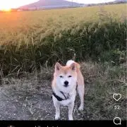 ヒロ