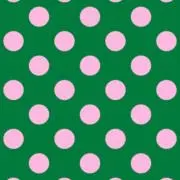 こうめの画像