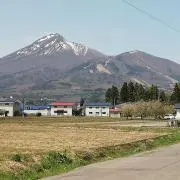 osenkono hathawayの画像