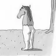 しめじの画像