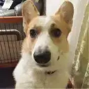 hiro