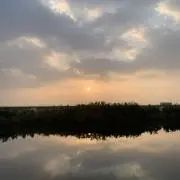 umの画像