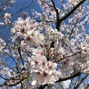 natiasa27の画像