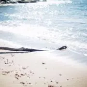 はんどめいど！
