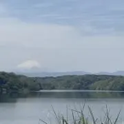 スズキ