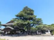 じゃがいも