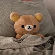 はなの画像