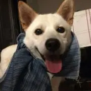 あいちゃん