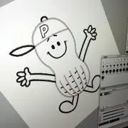 ピーナッツの画像