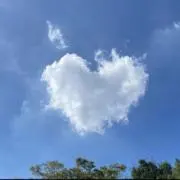 ポッキー