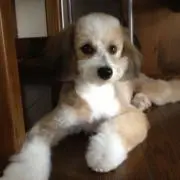 Mの画像