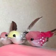 ゆにこ