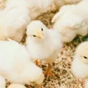 Kei☆amiプロフ読んでね☆の画像