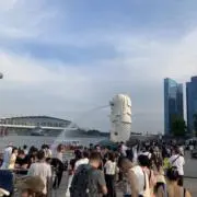コジカナの画像