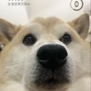 mk1226の画像