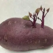 いーもん