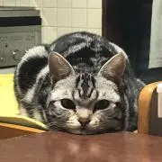 ぐりぐら