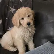 SORA♡の画像