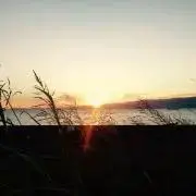 naturedreamの画像