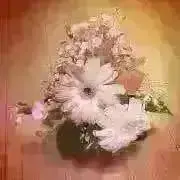 にゅちの画像