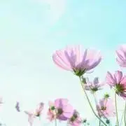 しお︎︎の画像
