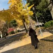 comの画像