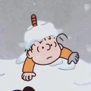 Ponの画像