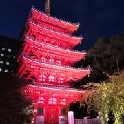 しじみの画像