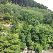 ryoの画像